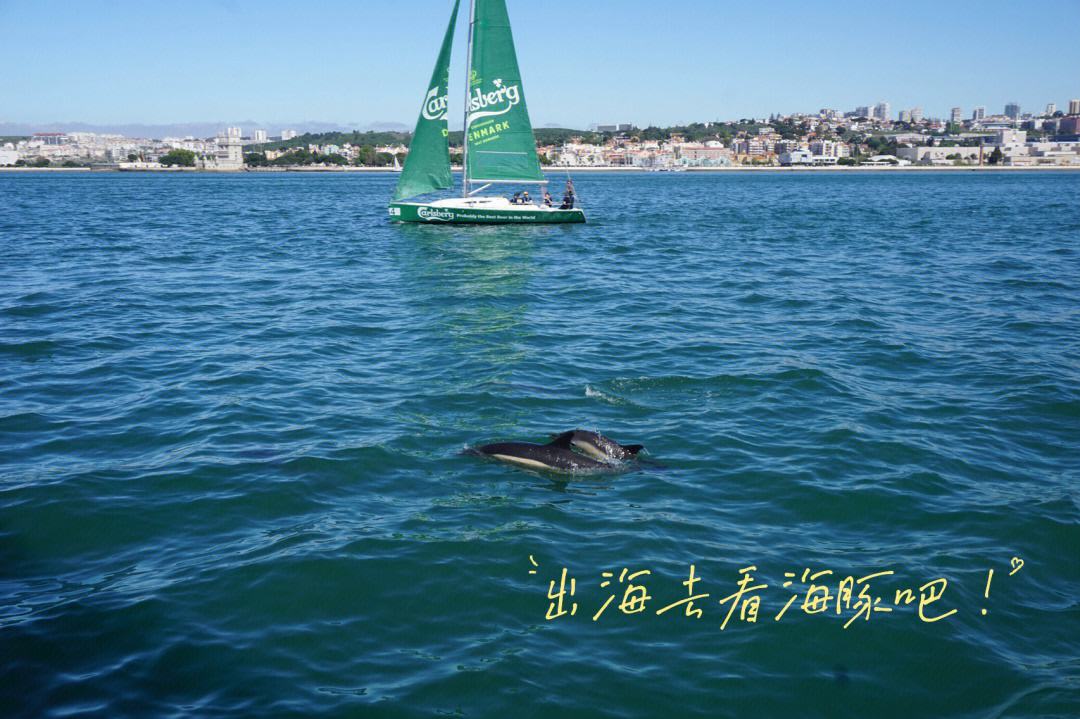 葡萄牙帆船选手在波澜壮阔中崛起 葡萄牙帆船选手在波澜壮阔中崛起