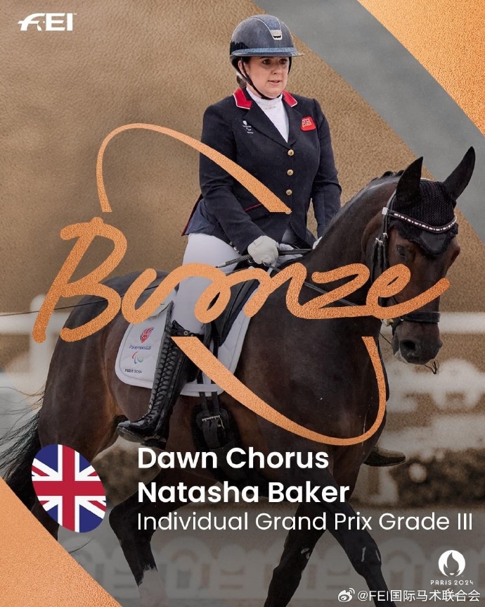 爱体育-爱尔兰马术运动员携手晋级,获得铜牌