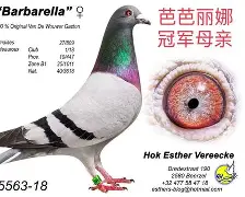 SC佛莱堡取得漂亮胜利喜悦无限 SC佛莱堡取得漂亮胜利喜悦无限