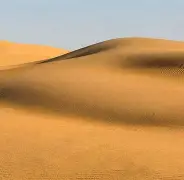 沙尔克04机遇降临,坚守信念闯出一片天地 沙尔克04机遇降临,坚守信念闯出一片天地