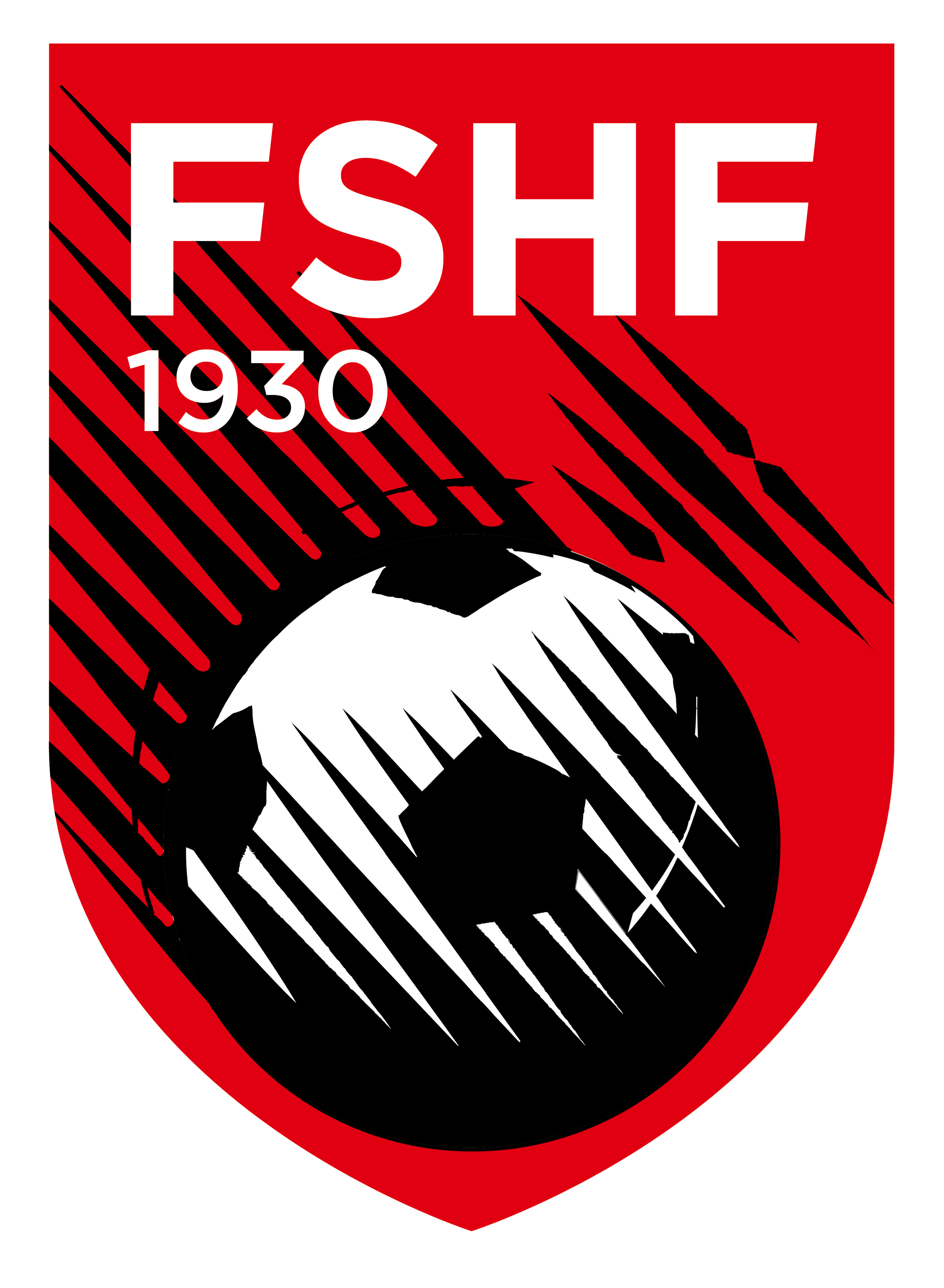 爱体育-阿尔巴尼亚国家队击败对手,加速晋级脚步