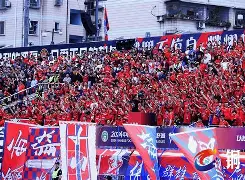 爱体育-重庆力狮主场告捷,士气腾飞令人瞩目