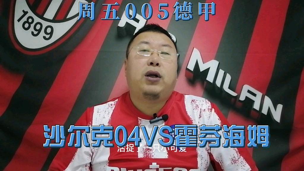 爱体育-独家报道霍芬海姆VS沙尔克，沙尔克战胜对手