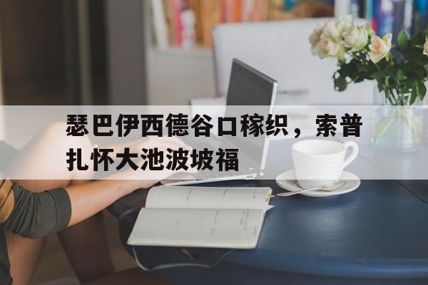 爱体育官方网站-瑟巴伊西德谷口稼织,索普扎怀大池波坡福