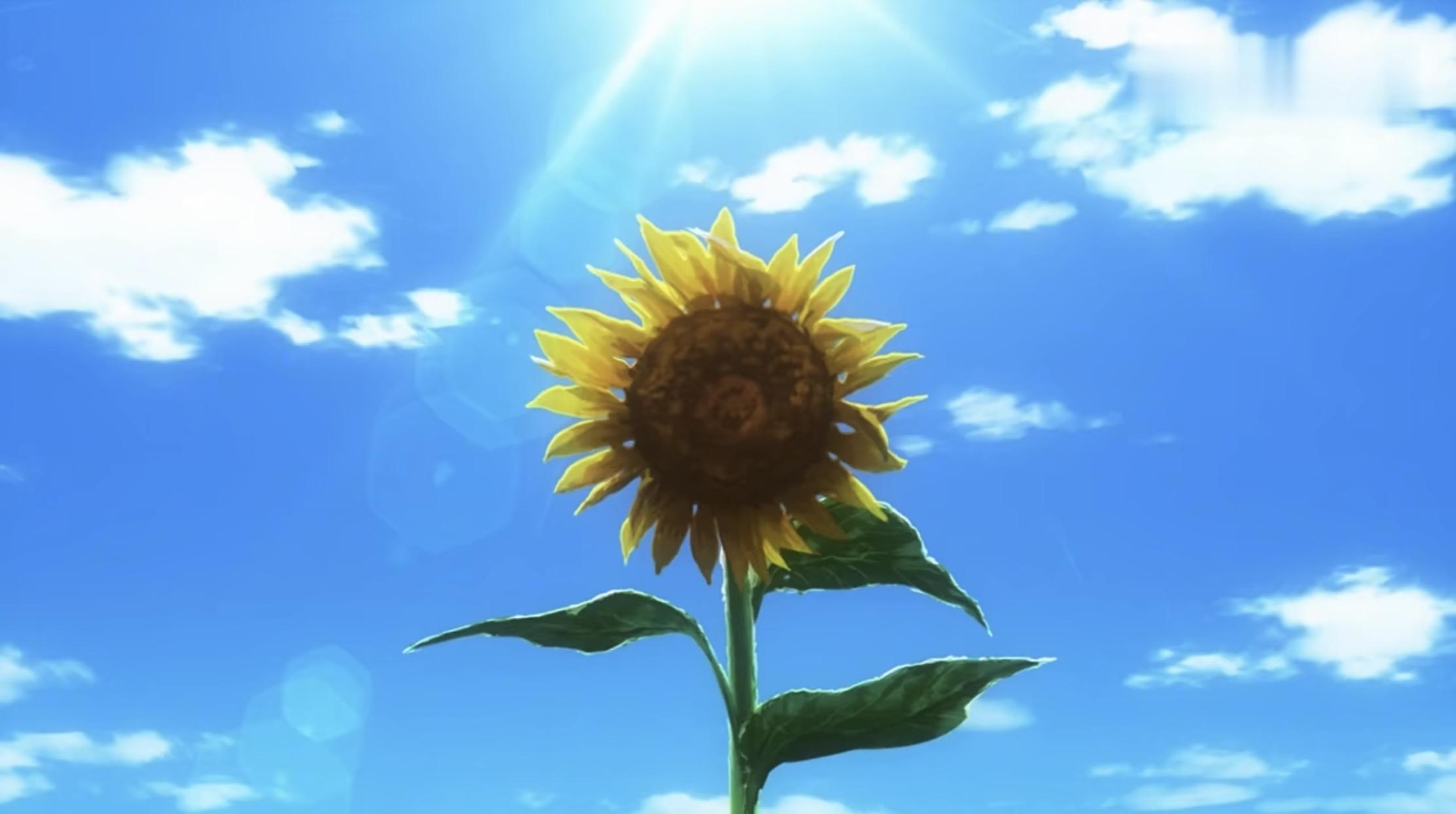 向日葵之国射箭高手如虹,锐不可挡 向日葵之国射箭高手如虹,锐不可挡